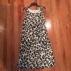 Ann Taylor Loft Dress